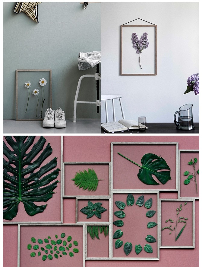 ������� �ե졼�� �ɳݤ� MOEBE A3 ������  �����ȥե졼�� �̲� ����ƥꥢ ���� ������� ����ץ� A3 ��������� ����