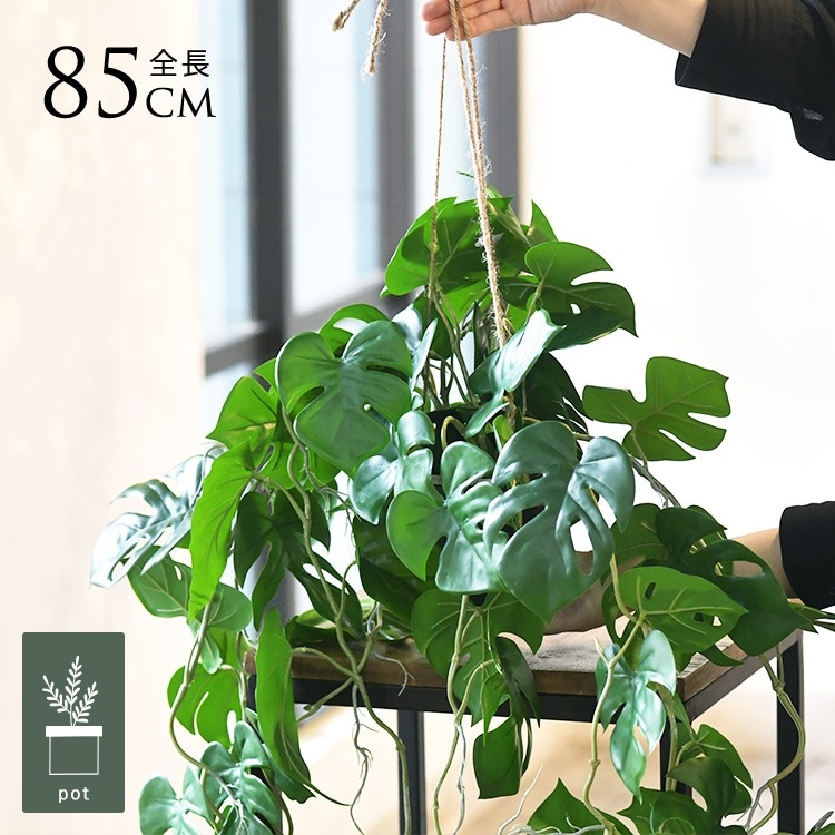 ե꡼ ȭդ  ҥ ϥ󥮥󥰥ݥå ߥ 4  󥹥ƥ ͹տʪ ȭ ƥꥢ꡼     ȭ ȭ ܥ˥  ¤ ե ͹ ʪ ӥ  ե Ź  ̵