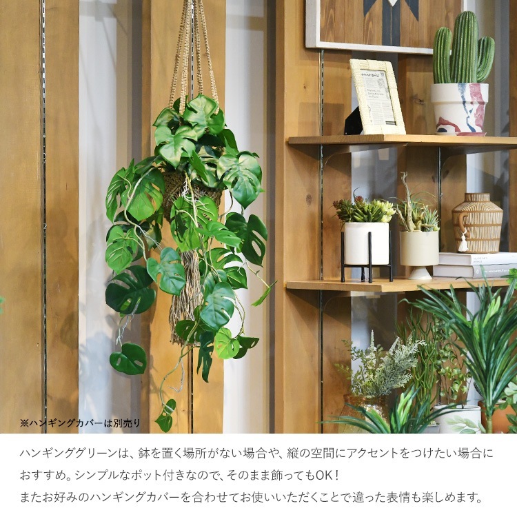 ե꡼ ȭդ  ҥ ϥ󥮥󥰥ݥå ߥ 4  󥹥ƥ ͹տʪ ȭ ƥꥢ꡼     ȭ ȭ ܥ˥  ¤ ե ͹ ʪ ӥ  ե Ź  ̵