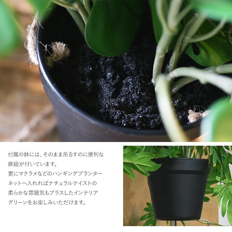 ե꡼ ȭդ  ҥ ϥ󥮥󥰥ݥå ߥ 4  󥹥ƥ ͹տʪ ȭ ƥꥢ꡼     ȭ ȭ ܥ˥  ¤ ե ͹ ʪ ӥ  ե Ź  ̵