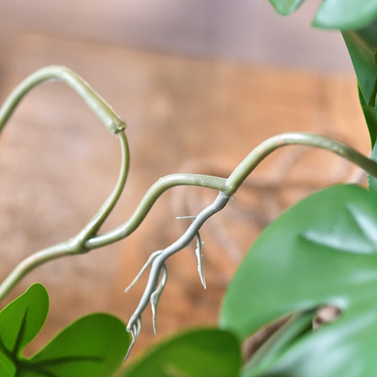 ե꡼ ȭդ  ҥ ϥ󥮥󥰥ݥå ߥ 4  󥹥ƥ ͹տʪ ȭ ƥꥢ꡼     ȭ ȭ ܥ˥  ¤ ե ͹ ʪ ӥ  ե Ź  ̵