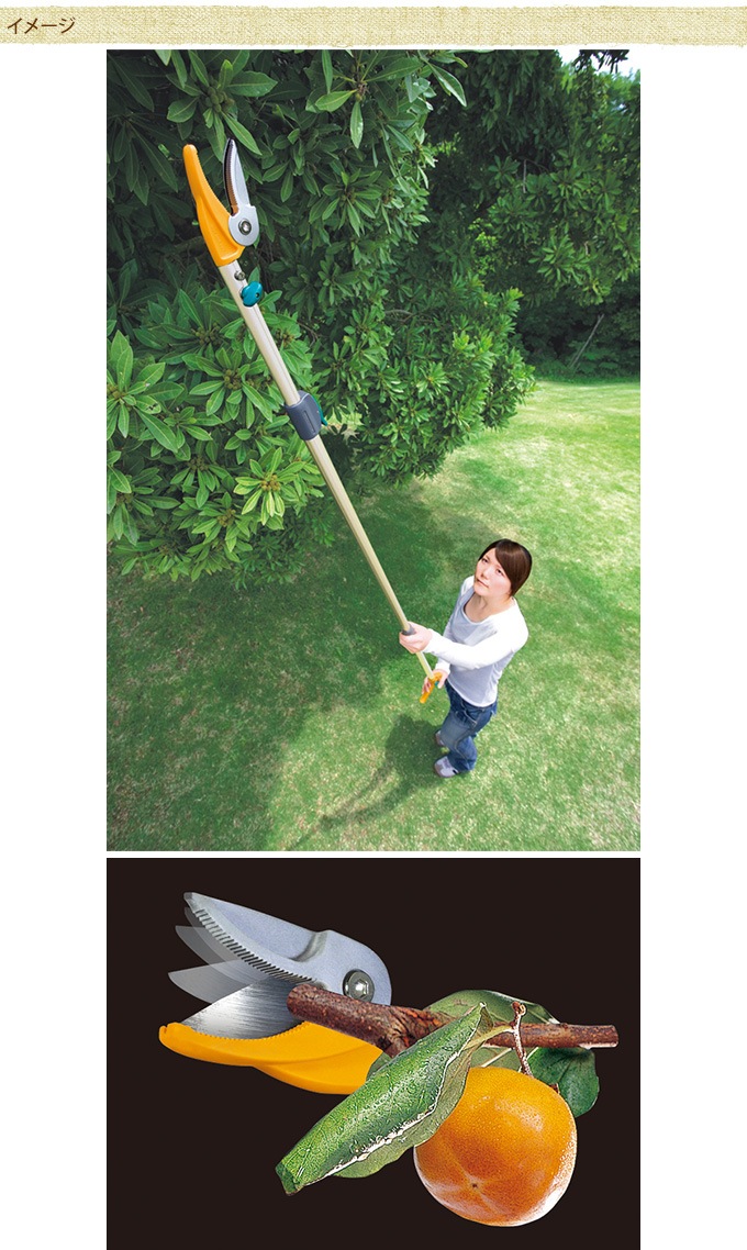 �⤤�Ȥ����˿Ϥ��Ϥ�������ڤФ��� �ݡ��륹���2�ʼ� Ķ���� ��� �ϥ��ߴ�ñ ���å�/�� ������/�����ǥ˥�/�餯�餯/����å�/����/����/����ӥ��/