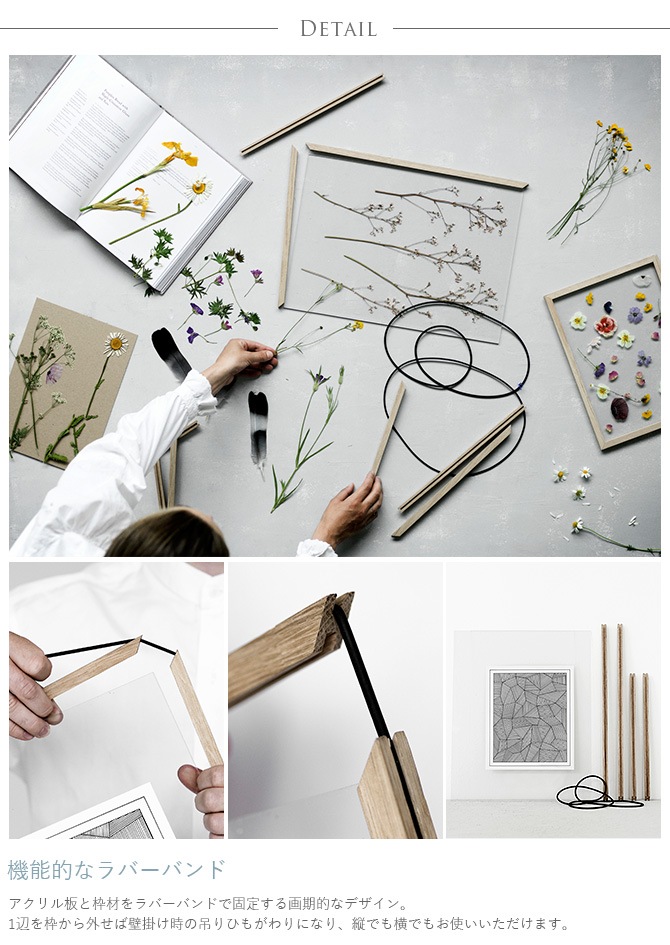 ������� �ե졼�� �ɳݤ� MOEBE A2 ������  �����ȥե졼�� �̲� ����ƥꥢ ���� ������� ����ץ� A2 ��������� ����