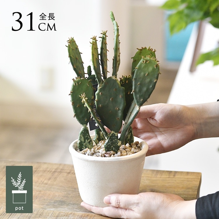 人工観葉植物 ミニサボテンポット21 （12個セット） bb240-0 （代引き不可） p101 人工観葉植物 ミニサボテン ポット 21 （12個入り） 991690 （代引き