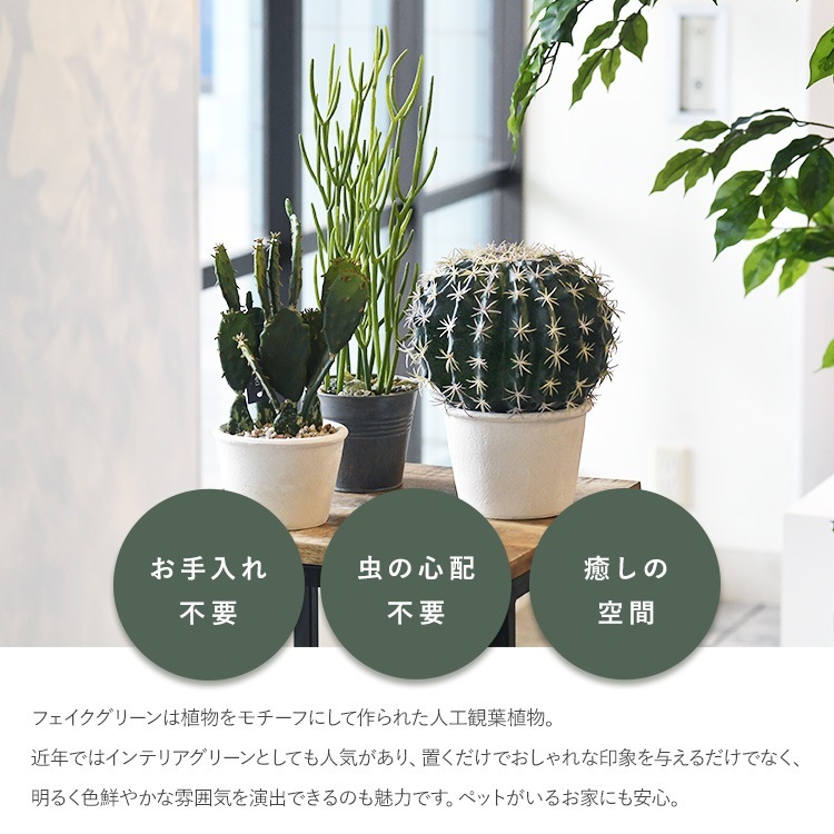 �ե��������꡼�� ȭ�դ� ������� ¿����ʪ ���ץ�ƥ��� �ݥå� �ߥ� 4��  �͹����տ�ʪ ȭ���� ����ƥꥢ���꡼�� ��� ���� ������ ���� ȭ�� ȭ �ܥ��˥��� �� ¤�� �ե����� �͹� ��ʪ ��ӥ� ���� ���ե� Ź��