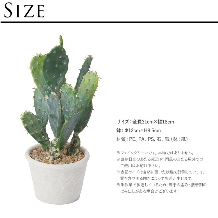 �ե��������꡼�� ȭ�դ� ������� ¿����ʪ ���ץ�ƥ��� �ݥå� �ߥ� 4��  �͹����տ�ʪ ȭ���� ����ƥꥢ���꡼�� ��� ���� ������ ���� ȭ�� ȭ �ܥ��˥��� �� ¤�� �ե����� �͹� ��ʪ ��ӥ� ���� ���ե� Ź��