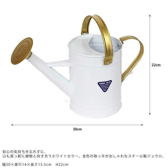 祦 ϡդ ʬ ۥ磻ȥ 1.65L 硼 ǡϪ//襤/ /