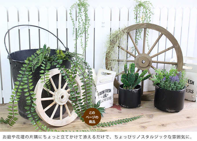 �����ǥ˥󥰻��� ���� ���� ����ƥ����� S ľ��30cm �����ǥ� ���ߥΥ����른�å�/������� ��ʪ/���å� �ۥ�����/