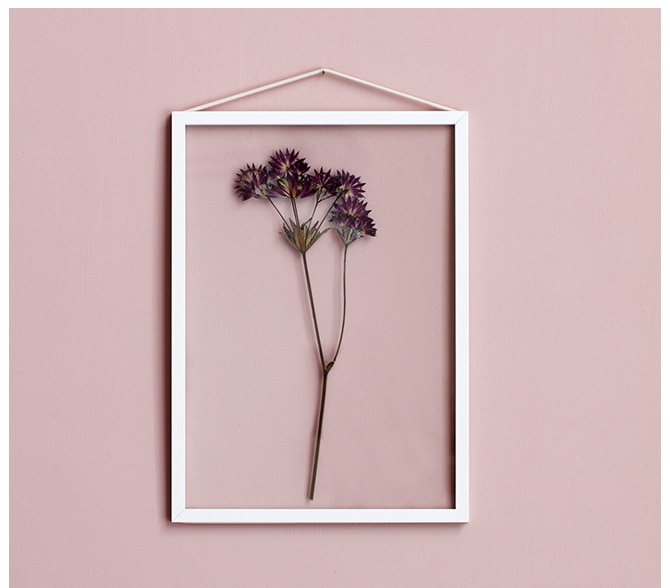 ������� �ե졼�� �ɳݤ� MOEBE A4  �����ȥե졼�� �̲� ����ƥꥢ ���� ������� ����ץ� A4 ��������� ����