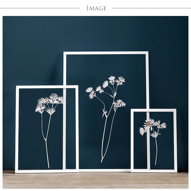 ������� �ե졼�� �ɳݤ� MOEBE A4  �����ȥե졼�� �̲� ����ƥꥢ ���� ������� ����ץ� A4 ��������� ����