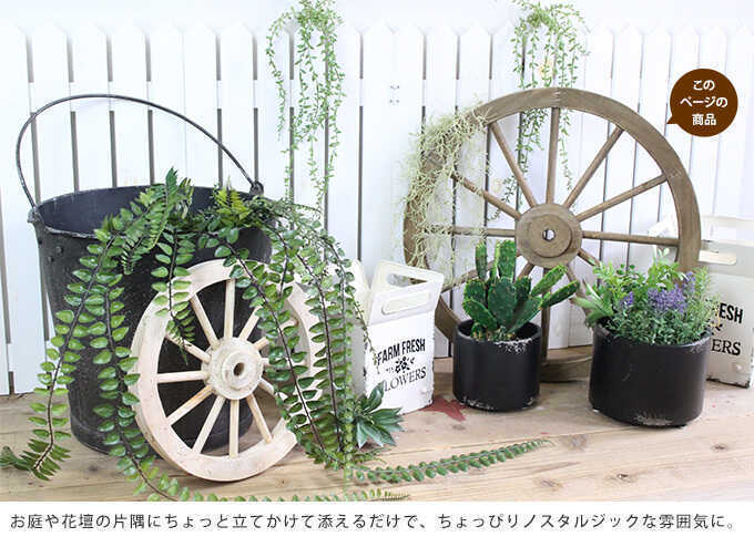 ǥ˥󥰻   ƥ L ľ50cm ǥ ߥΥ른å/ ʪ/å ۥ/