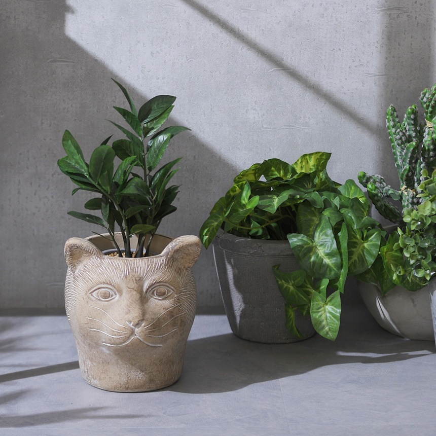 ץ󥿡   ƥ ȭ ѥޡ ǭβ ʥ  ȭ 󤻿ǭ ͥ å/֥/ꤢ/衼å/ʥ/ƥꥢ/̲  ƥꥢ/ǥ/ӥơ/