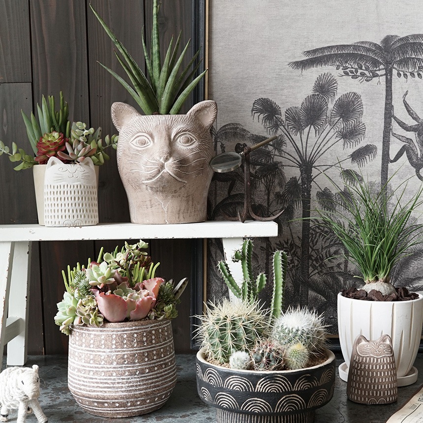 ץ󥿡   ƥ ȭ ѥޡ ǭβ ʥ  ȭ 󤻿ǭ ͥ å/֥/ꤢ/衼å/ʥ/ƥꥢ/̲  ƥꥢ/ǥ/ӥơ/