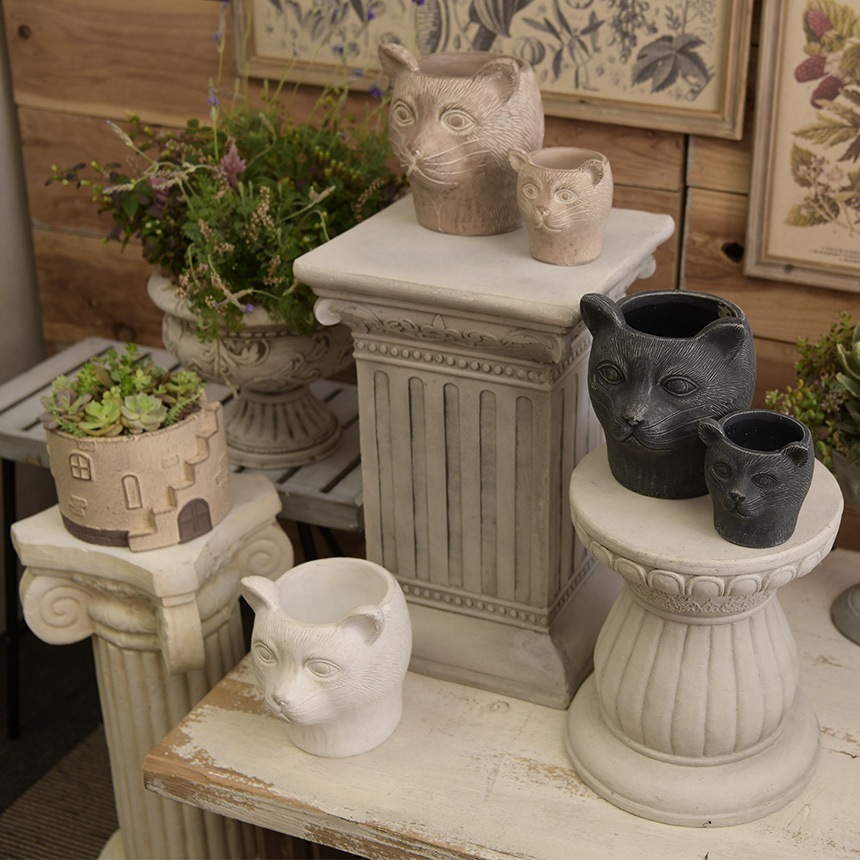 ץ󥿡   ƥ ȭ ѥޡ ǭβ ʥ  ȭ 󤻿ǭ ͥ å/֥/ꤢ/衼å/ʥ/ƥꥢ/̲  ƥꥢ/ǥ/ӥơ/