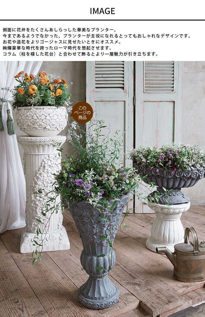 �ץ�󥿡� ������� ȭ ����ƥ����� �������� �˱ɤξ�ħ �ե�������� �ܥ��� ľ��32cm  ���� ���� ���� ��ꤢ�� ���� ����