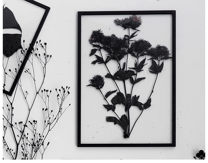 ������� �ե졼�� �ɳݤ� MOEBE A3  �����ȥե졼�� �̲� ����ƥꥢ ���� ������� ����ץ� A3 ��������� ����