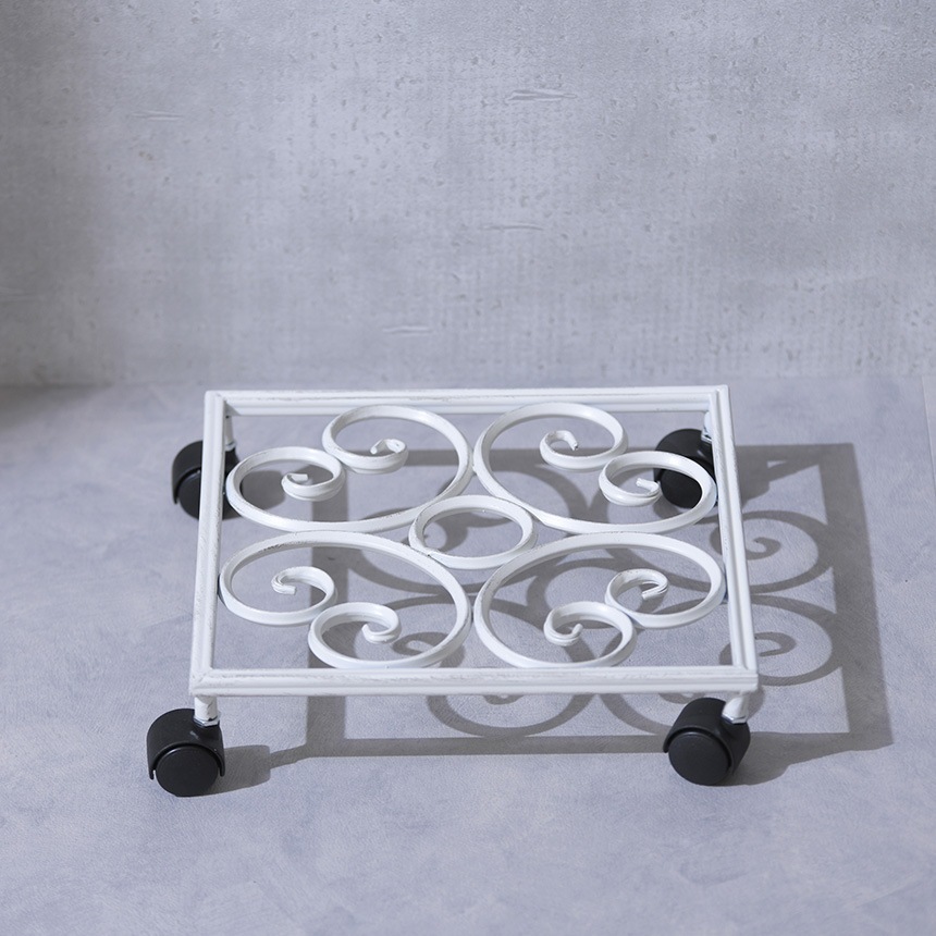 ȭ�� �������� ���㥹���� ����ƥ����� �ۥ磻�� �������� ���� ������� �ץ�󥿡�������ɥ���ƥ�����/�������� ȭ�֤�/�ץ�󥿡�������/���� ���� ��/�����ǥ��å�/�ץ�󥿡���å�/�ץ�󥿡���/�٥��� �ƥ饹/�Х륳�ˡ�/