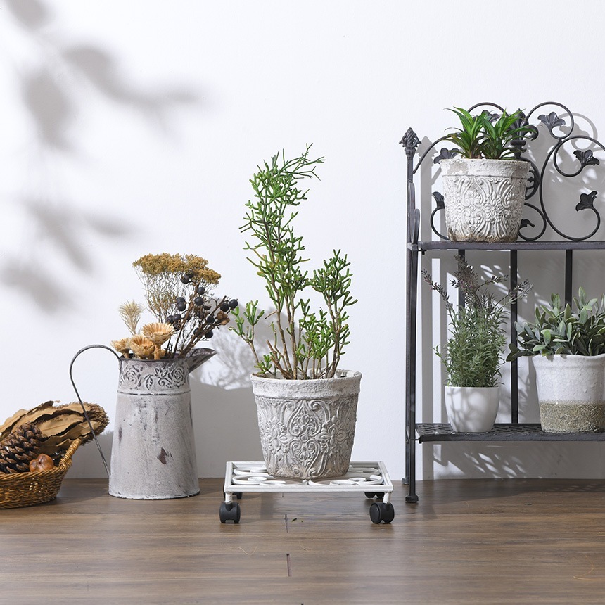 ȭ�� �������� ���㥹���� ����ƥ����� �ۥ磻�� �������� ���� ������� �ץ�󥿡�������ɥ���ƥ�����/�������� ȭ�֤�/�ץ�󥿡�������/���� ���� ��/�����ǥ��å�/�ץ�󥿡���å�/�ץ�󥿡���/�٥��� �ƥ饹/�Х륳�ˡ�/