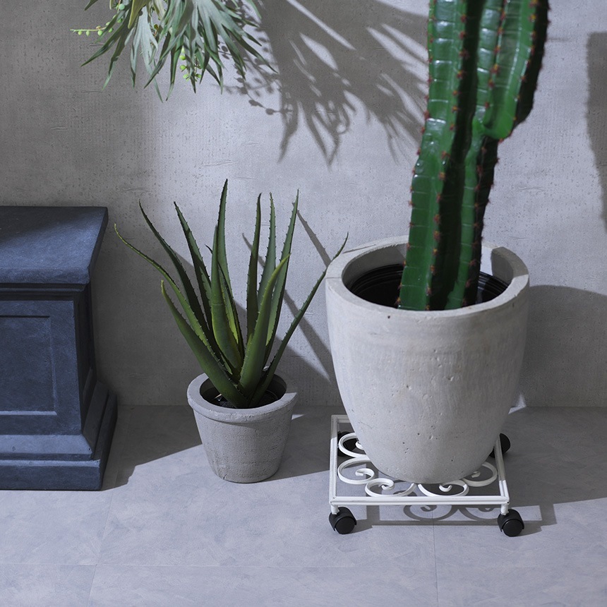 ȭ�� �������� ���㥹���� ����ƥ����� �ۥ磻�� �������� ���� ������� �ץ�󥿡�������ɥ���ƥ�����/�������� ȭ�֤�/�ץ�󥿡�������/���� ���� ��/�����ǥ��å�/�ץ�󥿡���å�/�ץ�󥿡���/�٥��� �ƥ饹/�Х륳�ˡ�/