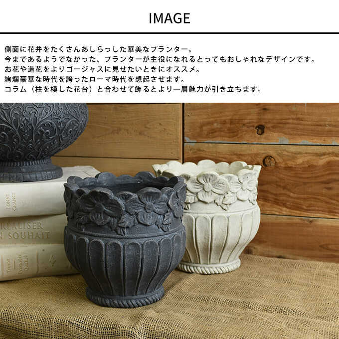 ץ󥿡   ˱ɤξħ ե 饦ɥϥ ľ26cm ȭꤢ/ƥ////֥/ʪ//