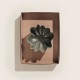 �̲� ���� ƫ�� ferm LIVING �ե������ӥ� Nium Bowl �˥���ܥ��� ľ��22cm   �̲� ���� ����ƥꥢ ���֥��� ��ʪ���� ���� ��ӥ� ����ƥꥢ���� ��ʪ ��������Ź  ������̵����
