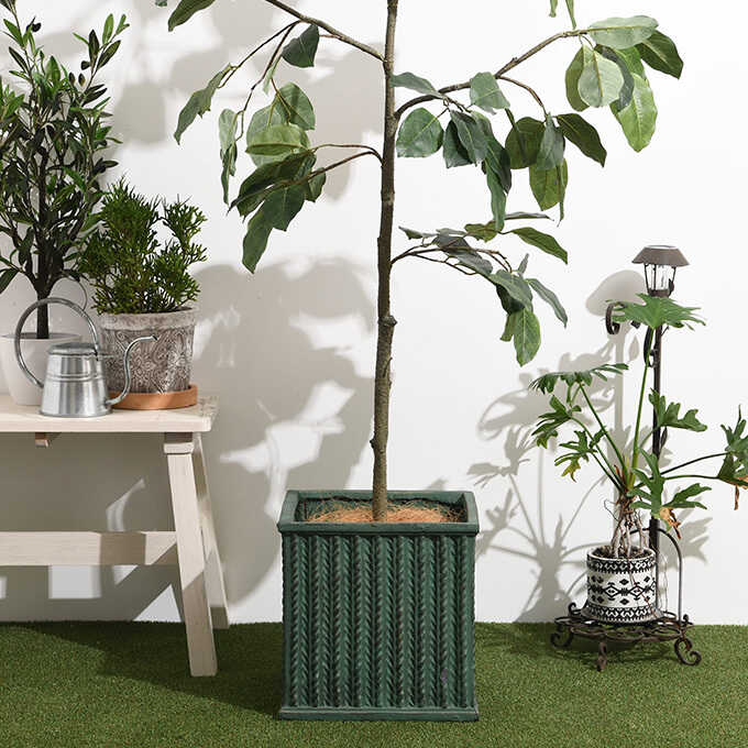 ����ȭ ����ƥ����� �ե����������� �롼�֥� �������� 32��32cm �ե����С����쥤�������/�ʥ�����/�������� ������/��ꤢ��/����ȭ/����ץ�/