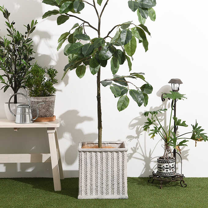 ����ȭ ����ƥ����� �ե����������� �롼�֥� �������� 32��32cm �ե����С����쥤�������/�ʥ�����/�������� ������/��ꤢ��/����ȭ/����ץ�/