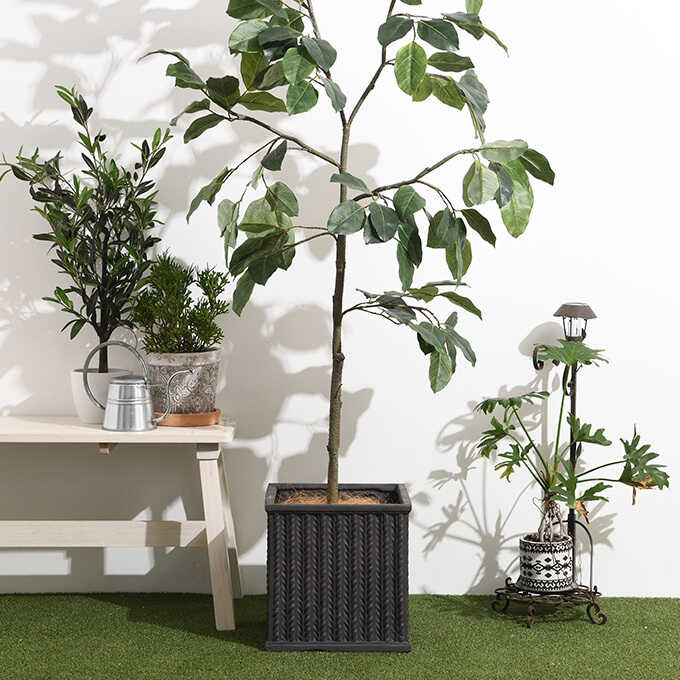 ����ȭ ����ƥ����� �ե����������� �롼�֥� �������� 32��32cm �ե����С����쥤�������/�ʥ�����/�������� ������/��ꤢ��/����ȭ/����ץ�/