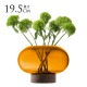 LSA International ե١ Oblate ֥졼  󥿥 С H19.5cm  Ʃ 饹  ץ 饹١ ̲ ̲ƥꥢ ե󥸥
