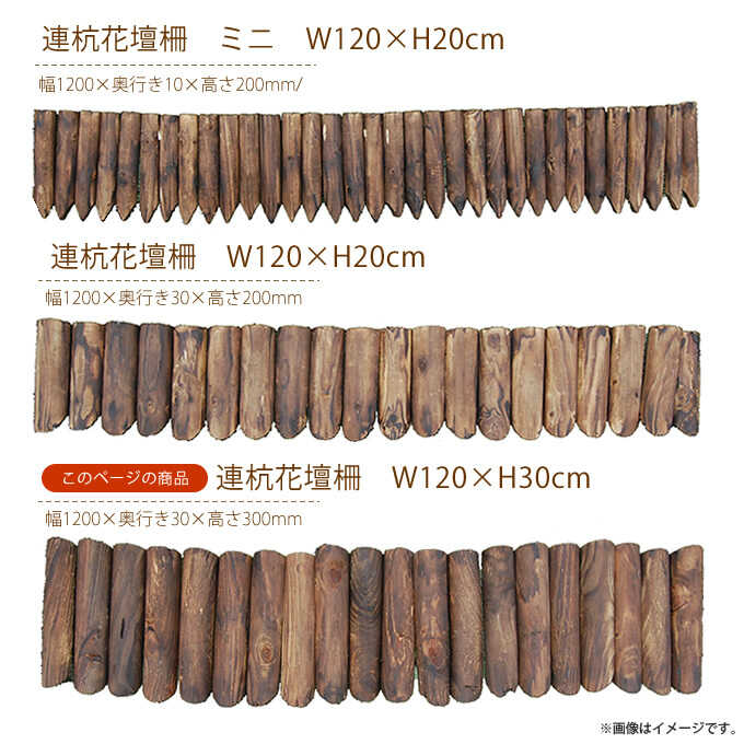   Ϥ ڤ ե  Ϣź W120H30cm   α Ϣ Ϣ ǥ˥   󤻿 ǥ ܤ  ̵