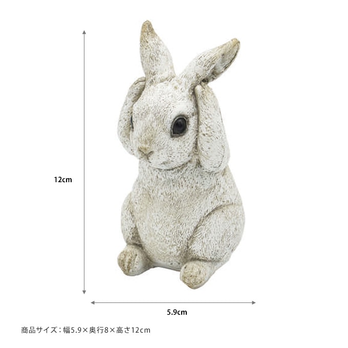 ƥꥢ  ǥ󻨲 ƥ ʹ  ۥ磻 1 ǥ ʪ  ƥꥢ   襤 ֥