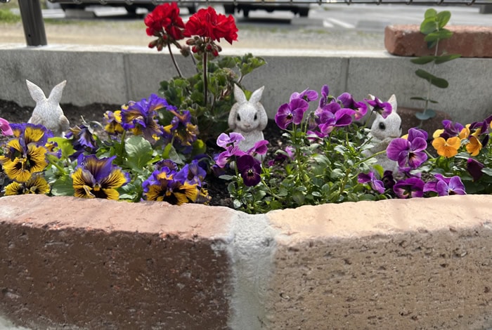 ƥꥢ  ǥ󻨲 ƥ ʹ  ۥ磻 1 ǥ ʪ  ƥꥢ   襤 ֥