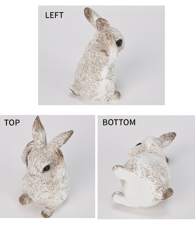 ƥꥢ  ǥ󻨲 ƥ ʹ  ۥ磻 1 ǥ ʪ  ƥꥢ   襤 ֥