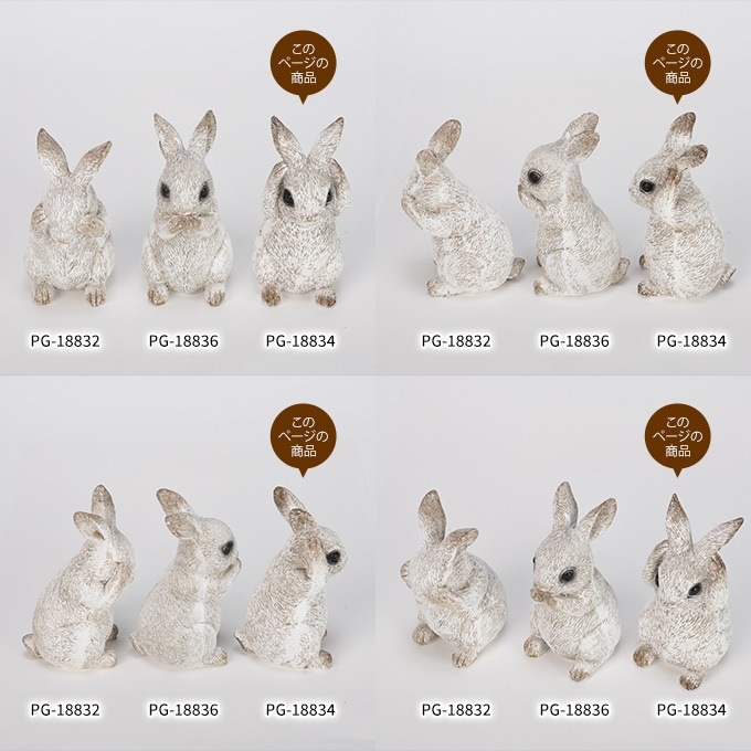 ƥꥢ  ǥ󻨲 ƥ ʹ  ۥ磻 1 ǥ ʪ  ƥꥢ   襤 ֥