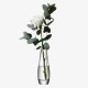 LSA International ե١ FLOWER ե SINGLE STEM VASE  H17cm  Ʃ 饹  ץ 饹١ ̲ ̲ƥꥢ ̺