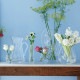 LSA International ե١ FLOWER ե SINGLE STEM VASE  H17cm  Ʃ 饹  ץ 饹١ ̲ ̲ƥꥢ ̺