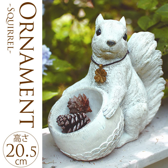 �����ǥ˥󥰻��� ��ʪ ���֥��� ����ƥ����� �ꤹ�ξ�ʪ����  �����ǥ� ���� ������� ����ƥꥢ���� ���� �̲�