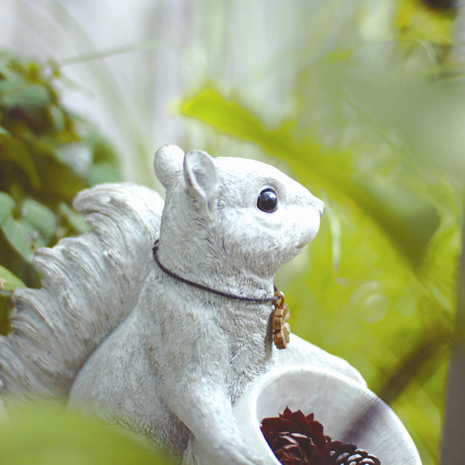 �����ǥ˥󥰻��� ��ʪ ���֥��� ����ƥ����� �ꤹ�ξ�ʪ����  �����ǥ� ���� ������� ����ƥꥢ���� ���� �̲�