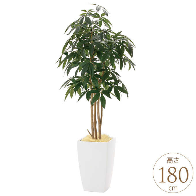 �ե��������꡼�� ȭ���� �礭�� ���տ�ʪ ȭ �����Х󥹥����� �ѥ��� 1.8m ������ ����ƥꥢ���꡼�� �緿 ���ե���