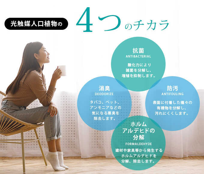 �ե��������꡼�� ȭ���� �礭�� ���տ�ʪ ȭ �����Х󥹥����� �ѥ��� 1.8m ������ ����ƥꥢ���꡼�� �緿 ���ե���