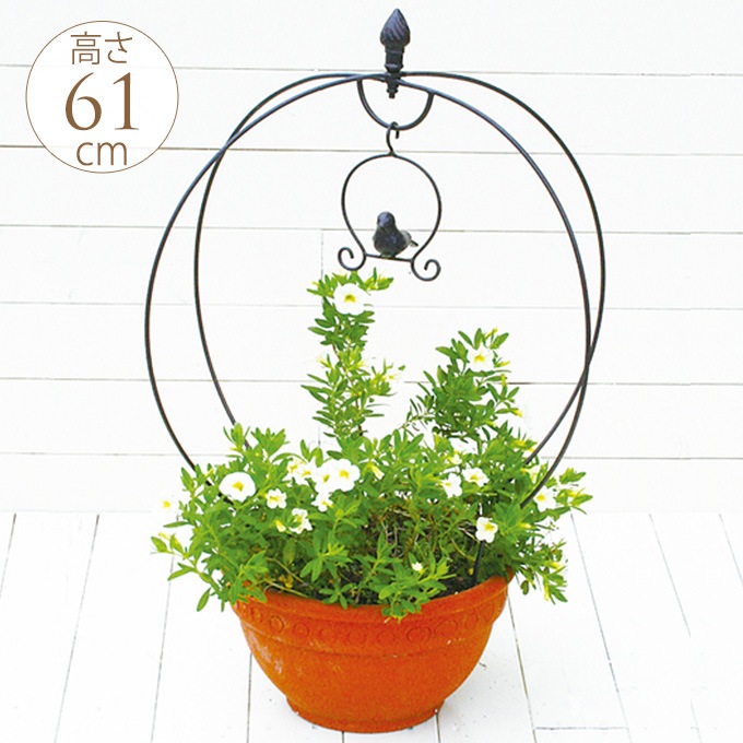 �ץ�󥿡������ �ȥԥ��꡼ �С��ɥ������� �饦��� �֥饦�� ȭ ����ץ�󥿡���/�����ǥ˥� ����/������ ����/��ʪ/�������/����/