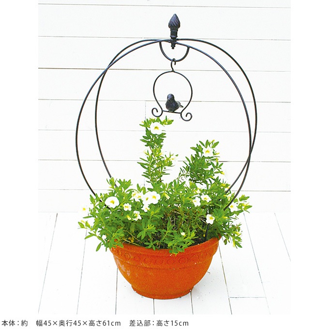 �ץ�󥿡������ �ȥԥ��꡼ �С��ɥ������� �饦��� �֥饦�� ȭ ����ץ�󥿡���/�����ǥ˥� ����/������ ����/��ʪ/�������/����/