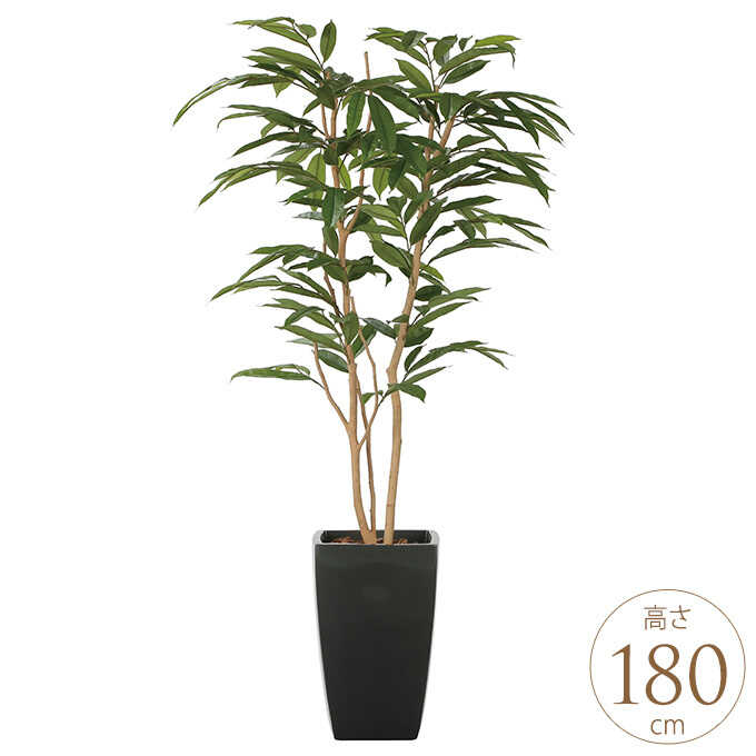 �ե��������꡼�� ȭ���� �礭�� ���տ�ʪ ȭ �����Х󥹥����� ���ॹ�ƥ��С����� 1.8m ������ ����ƥꥢ���꡼�� �緿 ���ե���