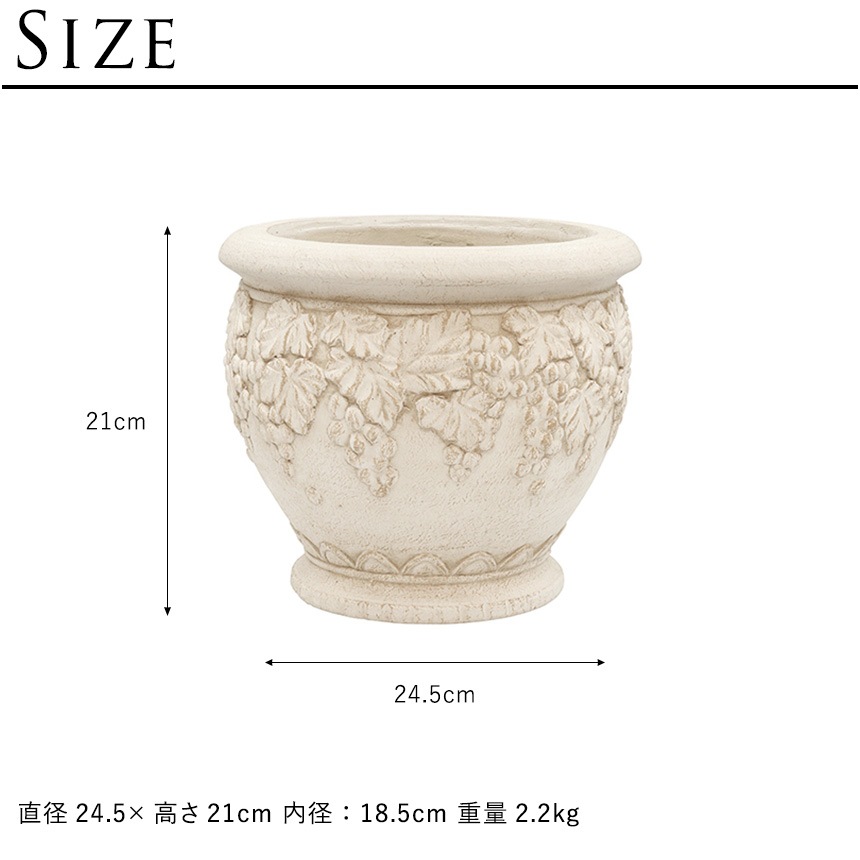 �ץ�󥿡� ����ƥ����� �����衼���å�Ĵ �ǥ���ƥ��� ������� �饦���  ȭ ������� ��ꤢ�� ���� ����ȭ �ե� �ݥå� �衼���å�