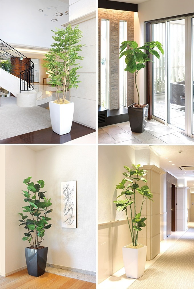 �ե��������꡼�� ȭ���� �礭�� ���տ�ʪ ȭ �����Х󥹥����� �������졼�� 1.35m ������ ����ƥꥢ���꡼�� �緿 ���ե���