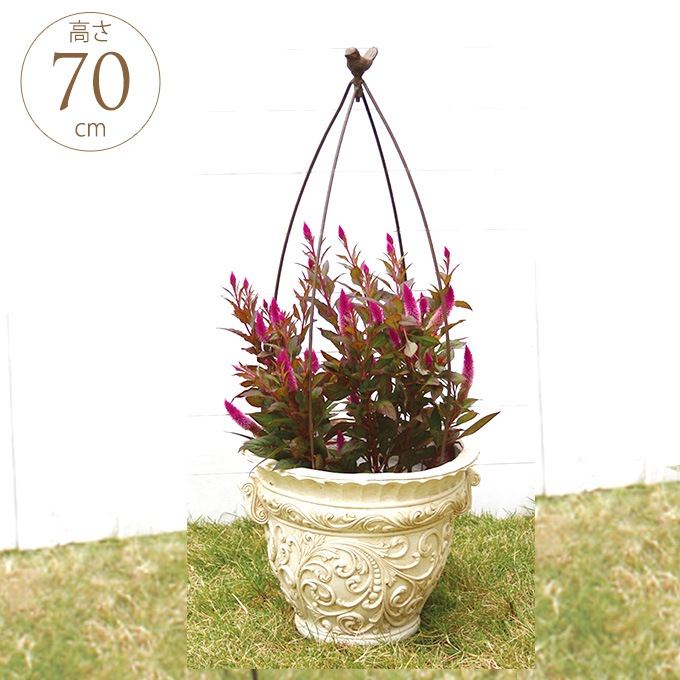 ץ󥿡 ȥԥ꡼ Сɥ Х S ȭ ꤫襤/ǥ˥ /ǥ ///