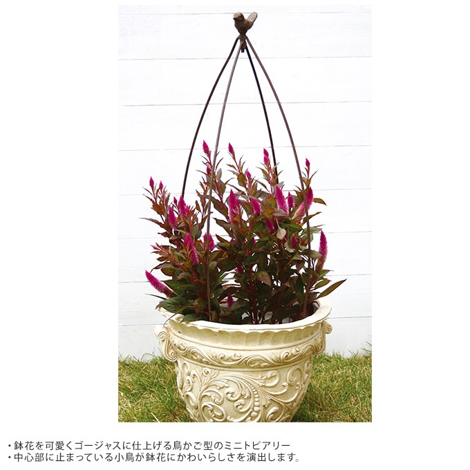 ץ󥿡 ȥԥ꡼ Сɥ Х S ȭ ꤫襤/ǥ˥ /ǥ ///