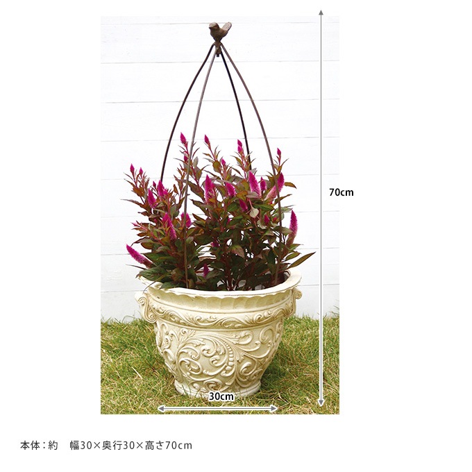 ץ󥿡 ȥԥ꡼ Сɥ Х S ȭ ꤫襤/ǥ˥ /ǥ ///