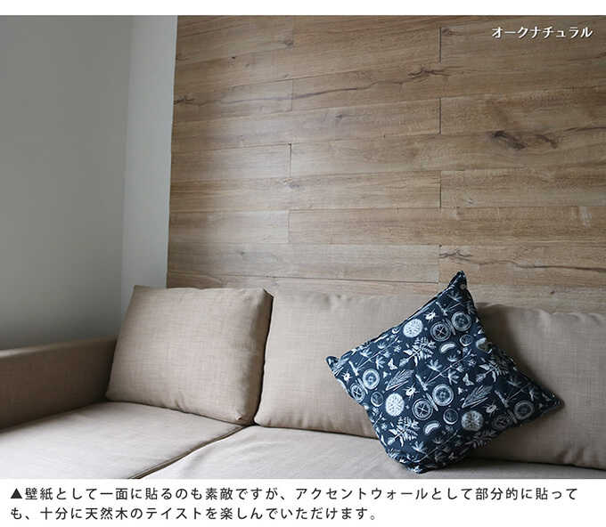 ���å� �ѥͥ� �� SOLIDECO �ɤ�Ž�� ŷ���ڥѥͥ� DP 10���ȡ���1.5m2��  DIY �ɺ� �ɤ�Ž�� �̲� ������� ����ƥꥢ �ɻ� ������ ���å� ���� �����ؤ� ��ñ ŷ���� �ʥ����� �����������