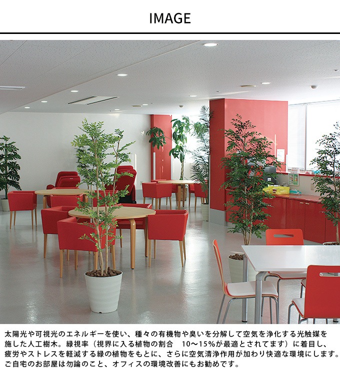 �ե��������꡼�� ȭ���� �礭�� ���տ�ʪ ȭ �����Х󥹥����� �֥�������٥顼�� 1.8m ������ ����ƥꥢ���꡼�� �緿 ���ե���